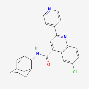 N-(ADAMANTAN-2-YL)-6-CHLORO-2-(PYRIDIN-4-YL)QUINOLINE-4-CARBOXAMIDE