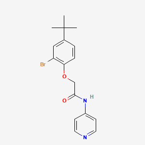 2-(2-bromo-4-tert-butylphenoxy)-N-4-pyridinylacetamide