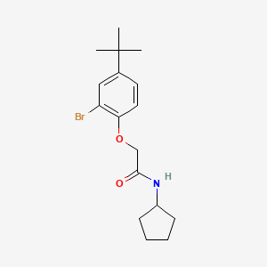 2-(2-bromo-4-tert-butylphenoxy)-N-cyclopentylacetamide