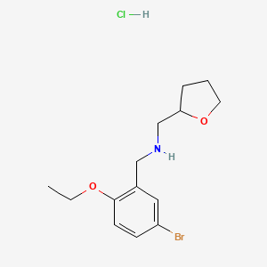 molecular formula C14H21BrClNO2 B4594616 N-[(5-bromo-2-ethoxyphenyl)methyl]-1-(oxolan-2-yl)methanamine;hydrochloride 