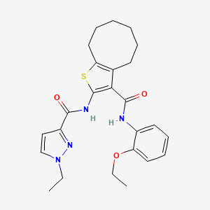 N-(3-{[(2-ethoxyphenyl)amino]carbonyl}-4,5,6,7,8,9-hexahydrocycloocta[b]thien-2-yl)-1-ethyl-1H-pyrazole-3-carboxamide