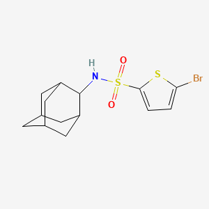 molecular formula C14H18BrNO2S2 B4608668 N-(ADAMANTAN-2-YL)-5-BROMOTHIOPHENE-2-SULFONAMIDE 