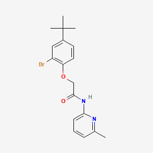 2-(2-bromo-4-tert-butylphenoxy)-N-(6-methyl-2-pyridinyl)acetamide