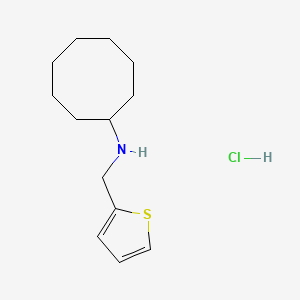 molecular formula C13H22ClNS B4613370 N-(2-thienylmethyl)cyclooctanamine hydrochloride 