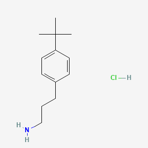 molecular formula C13H22ClN B4616512 [3-(4-tert-butylphenyl)propyl]amine hydrochloride 