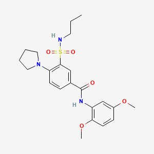 molecular formula C22H29N3O5S B4617112 N-(2,5-dimethoxyphenyl)-3-[(propylamino)sulfonyl]-4-(1-pyrrolidinyl)benzamide 