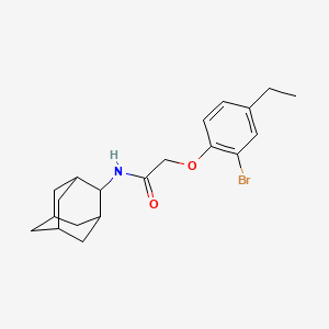 molecular formula C20H26BrNO2 B4618797 N-2-金刚烷基-2-(2-溴-4-乙基苯氧基)乙酰胺 