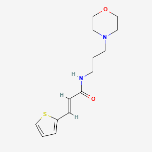 molecular formula C14H20N2O2S B4620743 N-[3-(4-morpholinyl)propyl]-3-(2-thienyl)acrylamide 