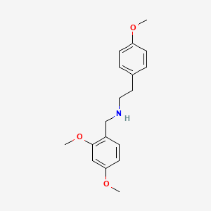 molecular formula C18H23NO3 B4625600 (2,4-dimethoxybenzyl)[2-(4-methoxyphenyl)ethyl]amine 