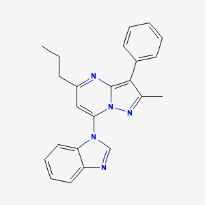 molecular formula C23H21N5 B4626814 7-(1H-benzimidazol-1-yl)-2-methyl-3-phenyl-5-propylpyrazolo[1,5-a]pyrimidine 