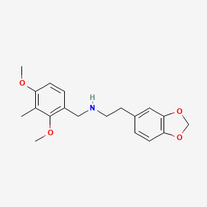 molecular formula C19H23NO4 B4626972 2-(1,3-benzodioxol-5-yl)-N-(2,4-dimethoxy-3-methylbenzyl)ethanamine 