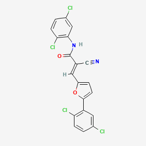 molecular formula C20H10Cl4N2O2 B4627261 2-cyano-N-(2,5-dichlorophenyl)-3-[5-(2,5-dichlorophenyl)-2-furyl]acrylamide 