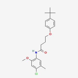 molecular formula C22H28ClNO3 B4627371 4-(4-tert-butylphenoxy)-N-(4-chloro-2-methoxy-5-methylphenyl)butanamide 
