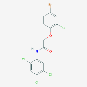 molecular formula C14H8BrCl4NO2 B4629152 2-(4-溴-2-氯苯氧基)-N-(2,4,5-三氯苯基)乙酰胺 
