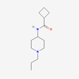 molecular formula C13H24N2O B4631049 N-(1-propyl-4-piperidinyl)cyclobutanecarboxamide 