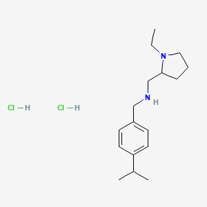 molecular formula C17H30Cl2N2 B4633535 [(1-ethyl-2-pyrrolidinyl)methyl](4-isopropylbenzyl)amine dihydrochloride 