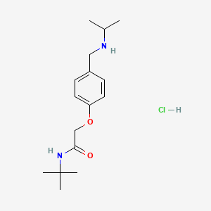 N-(tert-butyl)-2-{4-[(isopropylamino)methyl]phenoxy}acetamide hydrochloride