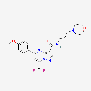 7-(difluoromethyl)-5-(4-methoxyphenyl)-N-[3-(morpholin-4-yl)propyl]pyrazolo[1,5-a]pyrimidine-3-carboxamide