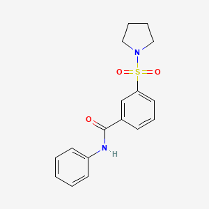 N-phenyl-3-(1-pyrrolidinylsulfonyl)benzamide