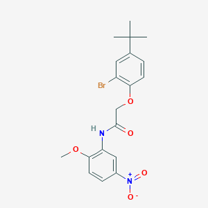 2-(2-bromo-4-tert-butylphenoxy)-N-(2-methoxy-5-nitrophenyl)acetamide