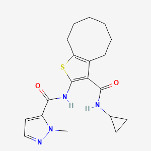 molecular formula C19H24N4O2S B4643338 N-{3-[(cyclopropylamino)carbonyl]-4,5,6,7,8,9-hexahydrocycloocta[b]thien-2-yl}-1-methyl-1H-pyrazole-5-carboxamide 