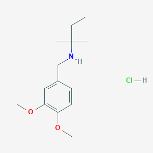 molecular formula C14H24ClNO2 B4643649 N-(3,4-dimethoxybenzyl)-2-methyl-2-butanamine hydrochloride 