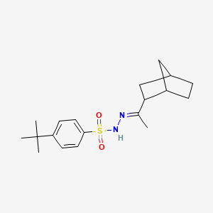 molecular formula C19H28N2O2S B4645112 N'-(1-bicyclo[2.2.1]hept-2-ylethylidene)-4-tert-butylbenzenesulfonohydrazide 