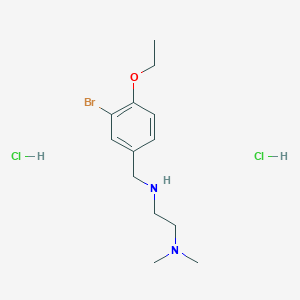 N'-(3-bromo-4-ethoxybenzyl)-N,N-dimethylethane-1,2-diamine dihydrochloride