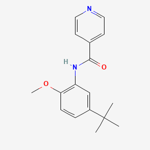 molecular formula C17H20N2O2 B4648102 N-(5-tert-butyl-2-methoxyphenyl)isonicotinamide 