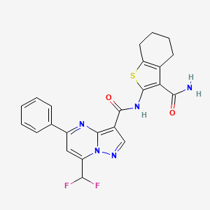 molecular formula C23H19F2N5O2S B4648706 N-[3-(aminocarbonyl)-4,5,6,7-tetrahydro-1-benzothien-2-yl]-7-(difluoromethyl)-5-phenylpyrazolo[1,5-a]pyrimidine-3-carboxamide 