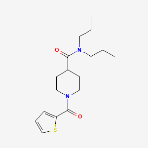 molecular formula C17H26N2O2S B4649194 N,N-dipropyl-1-(2-thienylcarbonyl)-4-piperidinecarboxamide 