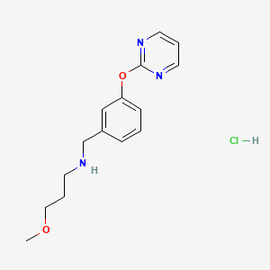 molecular formula C15H20ClN3O2 B4649771 (3-methoxypropyl)[3-(2-pyrimidinyloxy)benzyl]amine hydrochloride 