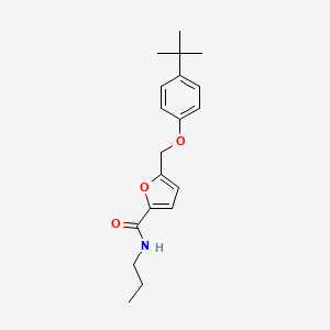 molecular formula C19H25NO3 B4649862 5-[(4-tert-butylphenoxy)methyl]-N-propyl-2-furamide 