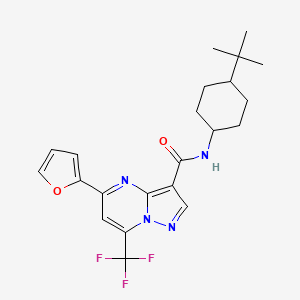 molecular formula C22H25F3N4O2 B4650646 N-(4-tert-butylcyclohexyl)-5-(2-furyl)-7-(trifluoromethyl)pyrazolo[1,5-a]pyrimidine-3-carboxamide 