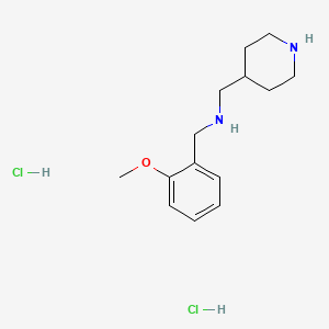 molecular formula C14H24Cl2N2O B4652330 (2-methoxybenzyl)(4-piperidinylmethyl)amine dihydrochloride 