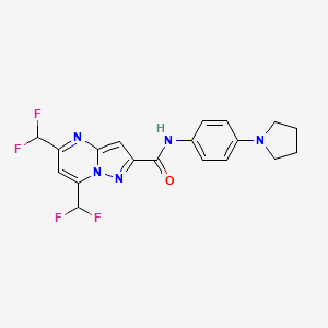 molecular formula C19H17F4N5O B4652900 5,7-bis(difluoromethyl)-N-[4-(1-pyrrolidinyl)phenyl]pyrazolo[1,5-a]pyrimidine-2-carboxamide 