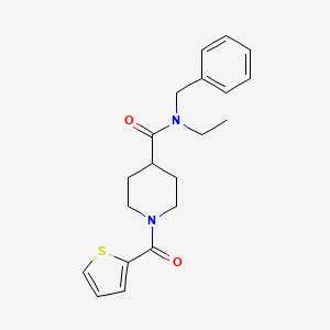 molecular formula C20H24N2O2S B4653039 N-benzyl-N-ethyl-1-(2-thienylcarbonyl)-4-piperidinecarboxamide 