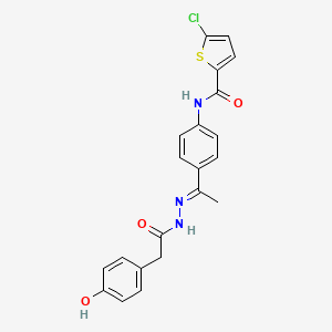molecular formula C21H18ClN3O3S B4657700 5-chloro-N-(4-{N-[(4-hydroxyphenyl)acetyl]ethanehydrazonoyl}phenyl)-2-thiophenecarboxamide 