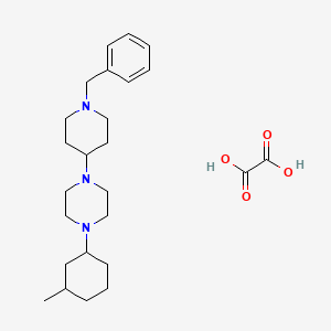 1-(1-benzyl-4-piperidinyl)-4-(3-methylcyclohexyl)piperazine oxalate