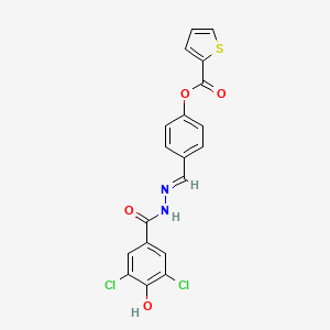 molecular formula C19H12Cl2N2O4S B4664927 4-[2-(3,5-dichloro-4-hydroxybenzoyl)carbonohydrazonoyl]phenyl 2-thiophenecarboxylate 