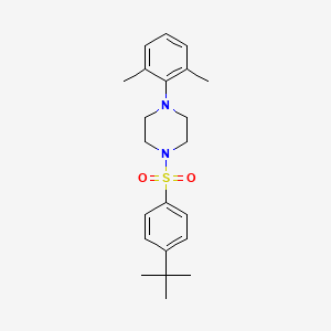 molecular formula C22H30N2O2S B4665955 1-[(4-tert-butylphenyl)sulfonyl]-4-(2,6-dimethylphenyl)piperazine 