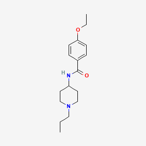 molecular formula C17H26N2O2 B4667794 4-ethoxy-N-(1-propyl-4-piperidinyl)benzamide 