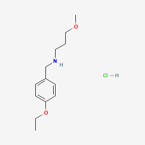 molecular formula C13H22ClNO2 B4669480 N-(4-ethoxybenzyl)-3-methoxy-1-propanamine hydrochloride 