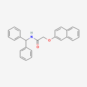 molecular formula C25H21NO2 B4669698 N-(diphenylmethyl)-2-(2-naphthyloxy)acetamide 