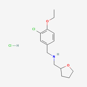 molecular formula C14H21Cl2NO2 B4670891 (3-chloro-4-ethoxybenzyl)(tetrahydrofuran-2-ylmethyl)amine hydrochloride 
