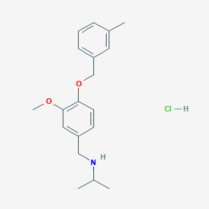 molecular formula C19H26ClNO2 B4671293 N-{3-methoxy-4-[(3-methylbenzyl)oxy]benzyl}propan-2-amine hydrochloride 