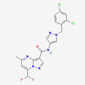 molecular formula C19H14Cl2F2N6O B4672079 N-[1-(2,4-dichlorobenzyl)-1H-pyrazol-4-yl]-7-(difluoromethyl)-5-methylpyrazolo[1,5-a]pyrimidine-3-carboxamide 