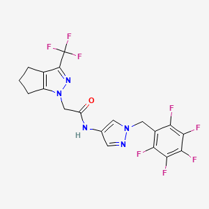 molecular formula C19H13F8N5O B4673836 N-[1-(pentafluorobenzyl)-1H-pyrazol-4-yl]-2-[3-(trifluoromethyl)-5,6-dihydrocyclopenta[c]pyrazol-1(4H)-yl]acetamide 