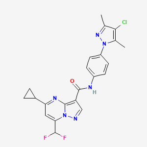 molecular formula C22H19ClF2N6O B4676408 N-[4-(4-chloro-3,5-dimethyl-1H-pyrazol-1-yl)phenyl]-5-cyclopropyl-7-(difluoromethyl)pyrazolo[1,5-a]pyrimidine-3-carboxamide 