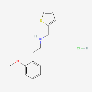 molecular formula C14H18ClNOS B4676544 [2-(2-methoxyphenyl)ethyl](2-thienylmethyl)amine hydrochloride 